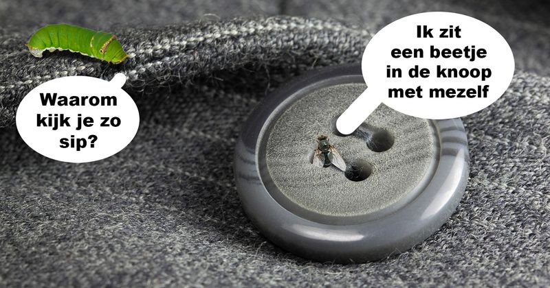 In de knoop