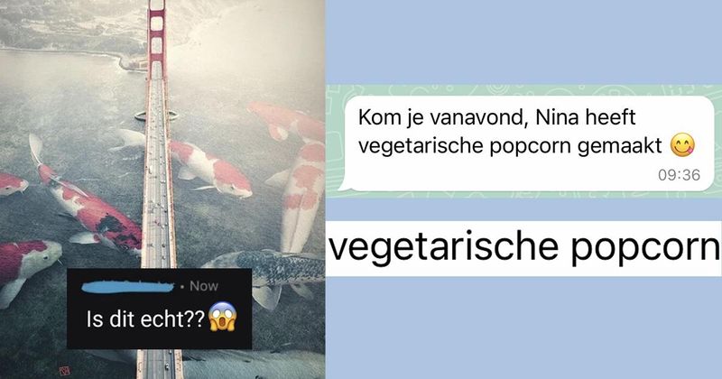 22 mensen met het denkvermogen van een beenvis