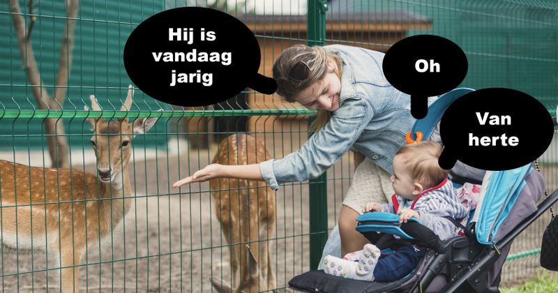 Van herte