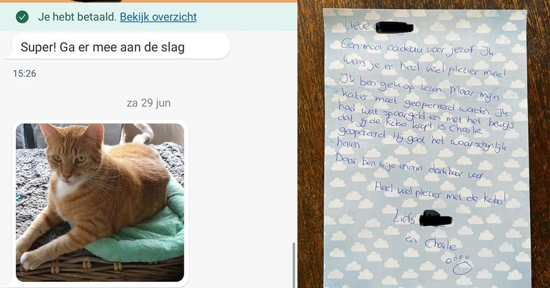 Feel-good-gesprek: vrouw koopt E-reader van iemand op Marktplaats en redt daarmee tegelijkertijd het leven van deze kat (7 screens)