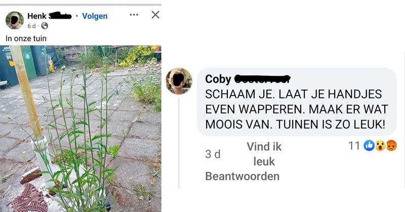 Henk post een foto van z'n tuin en krijgt meteen haat-comments van Coby die niet met kleine letters kan typen (4 screens)