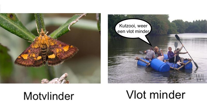 12 woorden die een hele andere betekenis krijgen als je 2 letters omwisselt (deel 3)