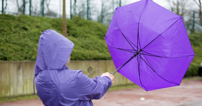 7 dingen die vandaag meteen naar de tering waaien als je buitenkomt