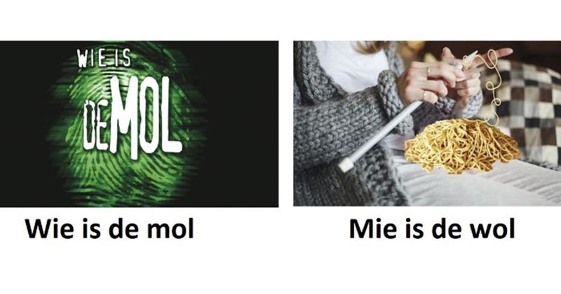 12 woorden die een hele andere betekenis krijgen als je 2 letters omwisselt (deel 2)