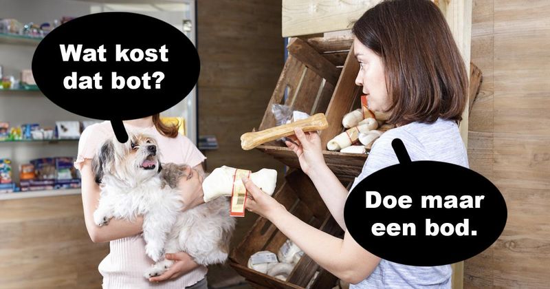 Hierom kun je je hond beter niet meenemen naar de dierenwinkel (8 screens)