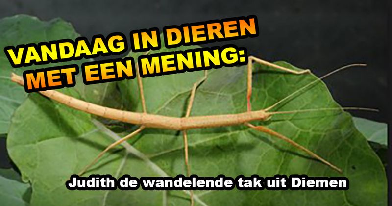 Dieren met een mening