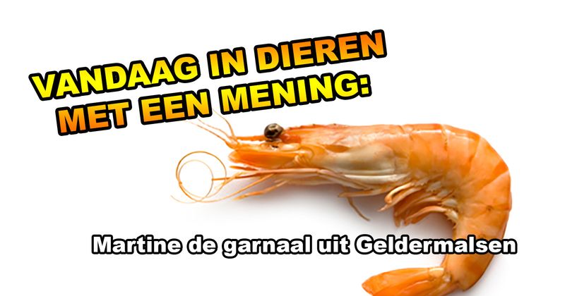 Dieren met een mening