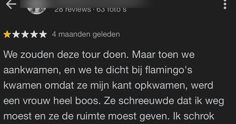 Gezellig flamingo's kijken op Bonaire loopt weer eens helemaal uit de hand (4 screens)