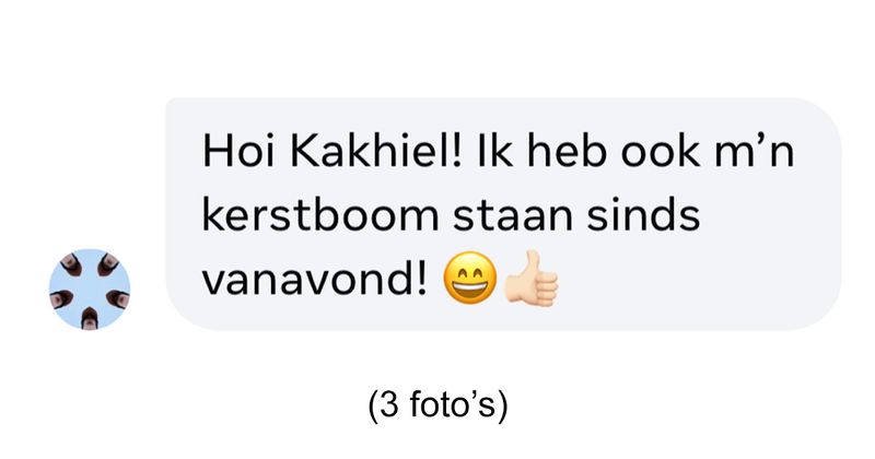 Als je nog op zoek bent naar inspiratie voor dingen om in je kerstboom te hangen is dit misschien wel een goed idee