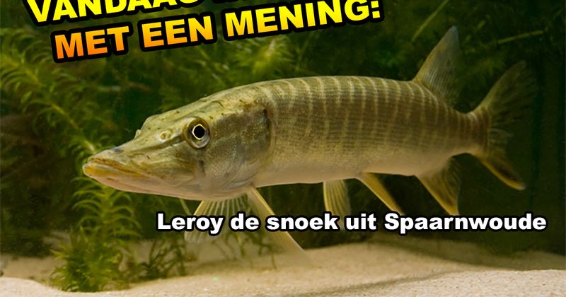 Dieren met een mening