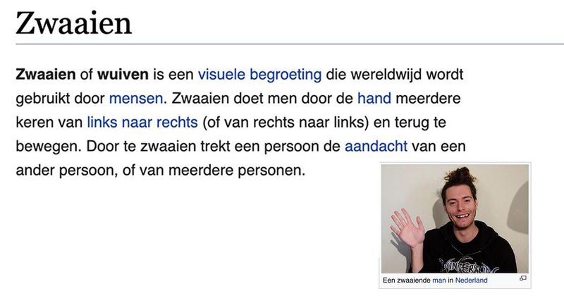 De 10 meest overbodige Wikipedia pagina's ooit