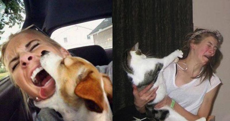 14 dieren die vinden dat je op moet flikkeren met je stomme selfie