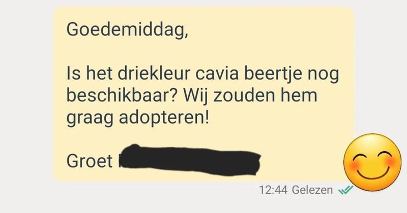 Er zitten ook nog aardige mensen op Marktplaats, hier een gesprekje met een mooi einde (5 screens)