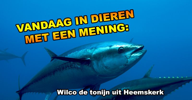 Dieren met een mening