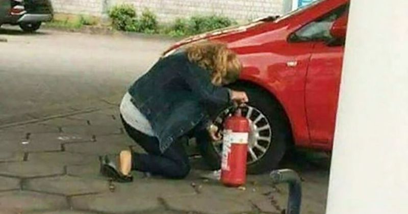 12 mensen met het denkniveau van een kaasstengel