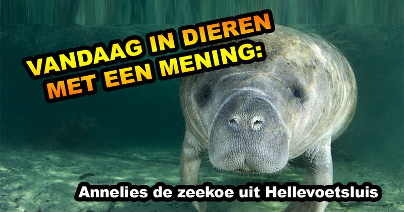 Dieren met een mening