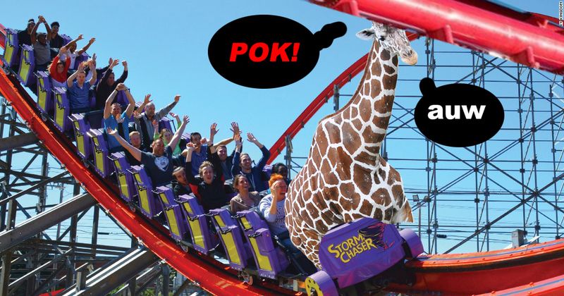 6 dingen die je als giraffe nooit kunt doen omdat je nek te lang is