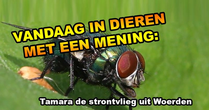 Dieren met een mening