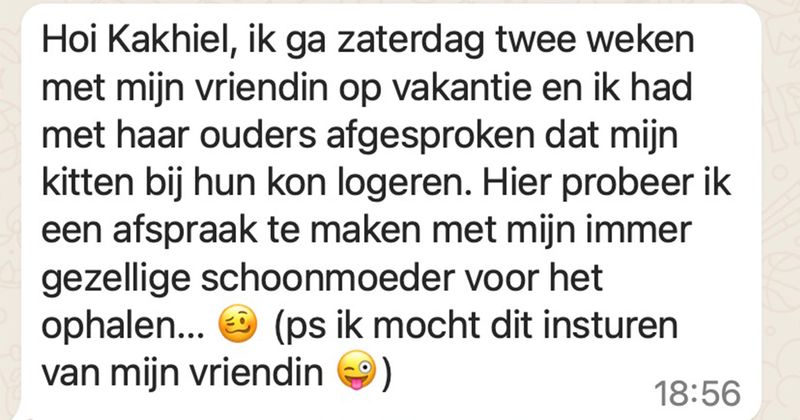 Jongen probeert afspraak te maken met zijn schoonmoeder die tijdens de vakantie op zijn kitten zou passen maar helaas verloopt de communicatie niet bepaald aardig (5 screens)