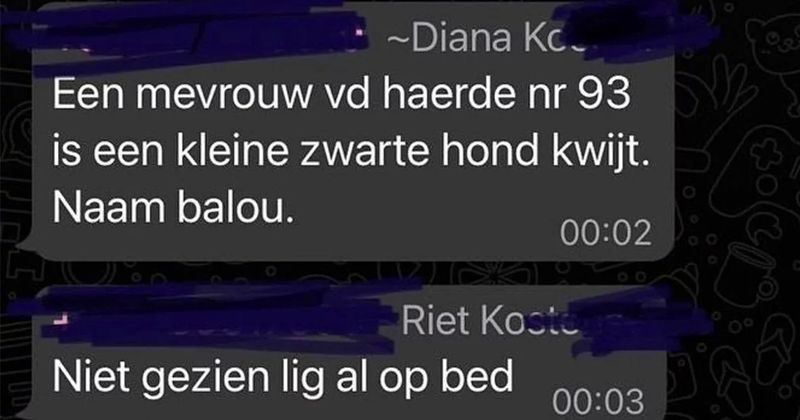 11 vet gezellige buurtapp-screenshots om je maandag mee door te komen