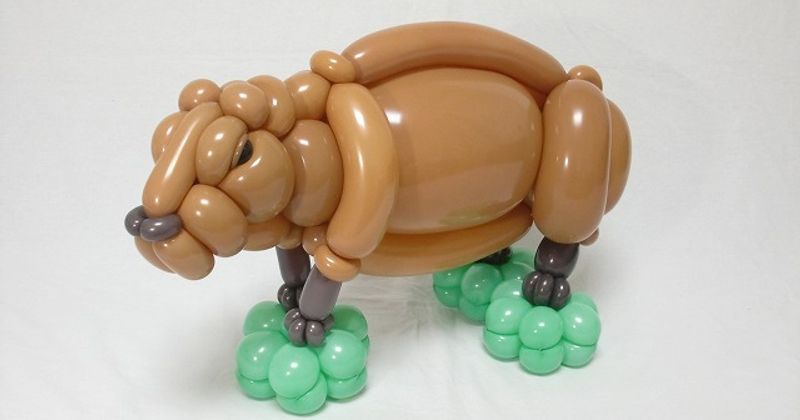 Ballonvouwen voor gevorderden (10 foto's)