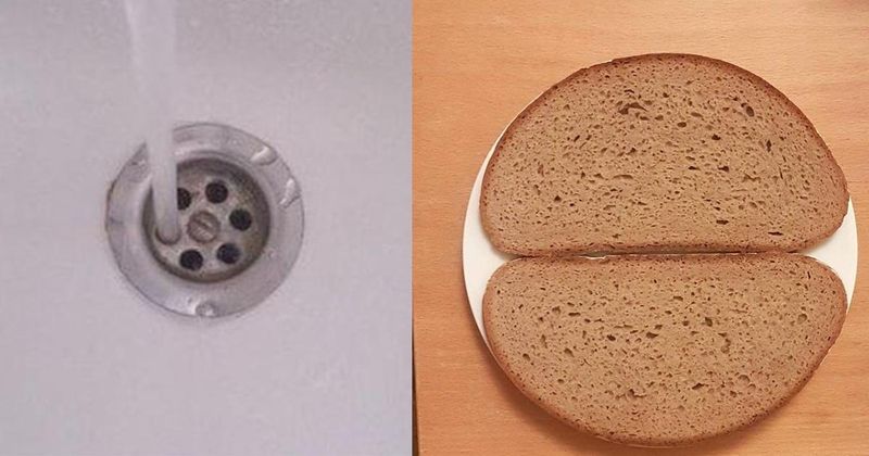 20 foto's die zo perfect zijn dat het bijna irritant wordt
