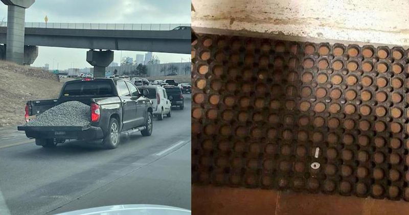 23 mensen met het denkvermogen van een slijmzwam