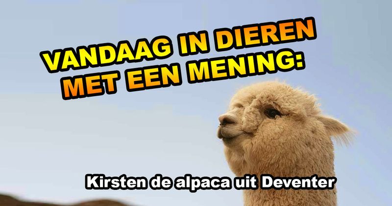 Dieren met een mening