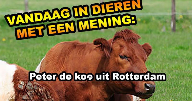 Dieren met een mening