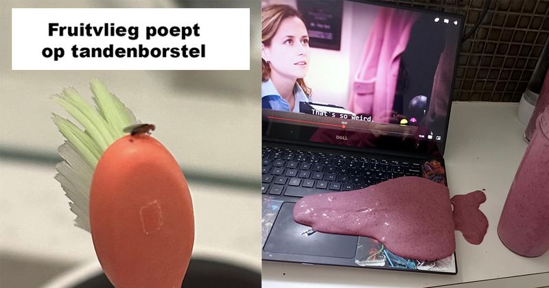 21 mensen die echt een beroerd begin van de week hebben