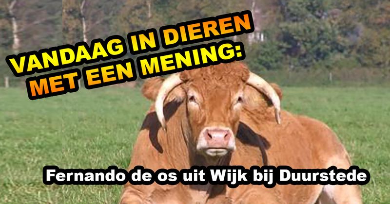 Dieren met een mening