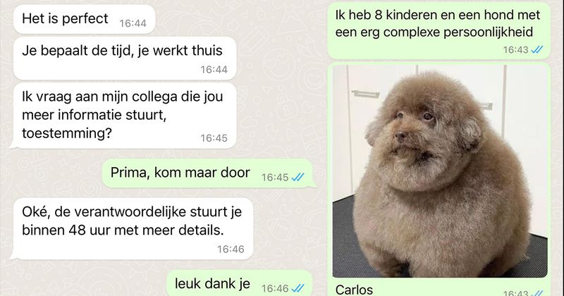 Oplichter kan zich niet inhouden zodra ze wordt geconfronteerd met haar nepfoto die ze gewoon van het internet geplukt heeft (10 screens)