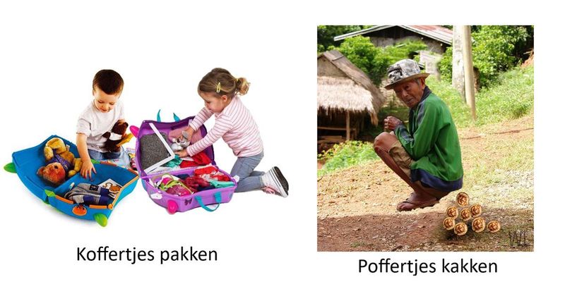 12 woorden die een hele andere betekenis krijgen als je 2 letters omwisselt (deel 4)