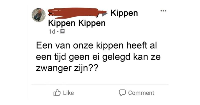 20 mensen met het denkvermogen van een boomslak 