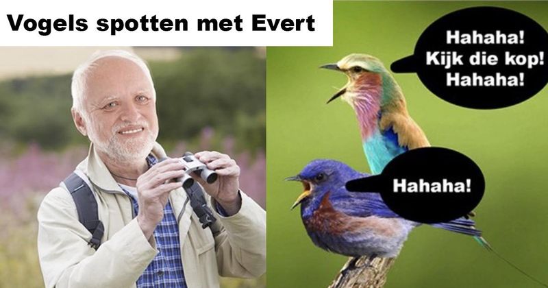 20 vet domme grappen om je donderdag mee door te komen