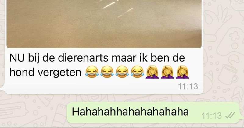 26 mensen met het IQ van een slijmzwam