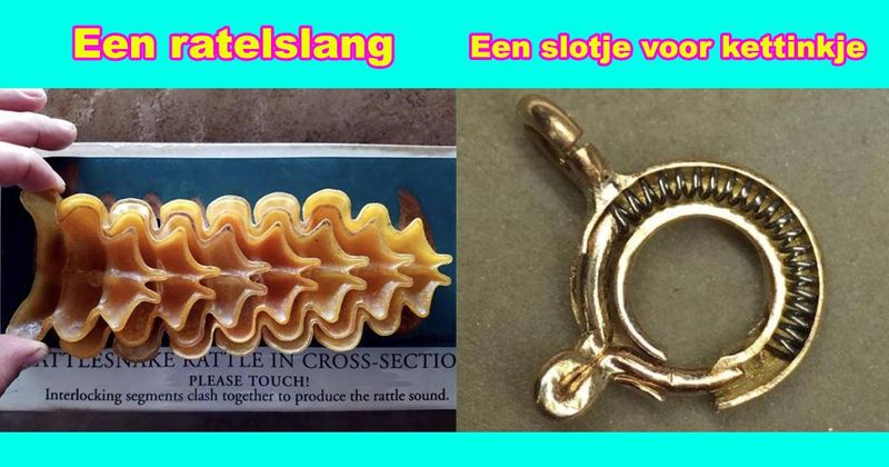 29 dingen die er vanbinnen eigenlijk veel toffer uitzien dan vanbuiten