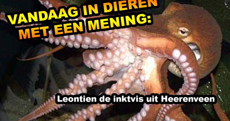 Dieren met een mening
