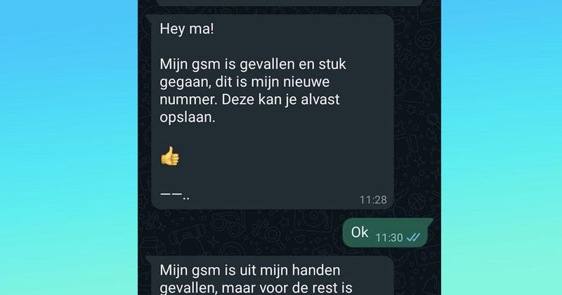 Vrouw trommelt al haar vrienden en familie op om WhatsApp-oplichter terug te stalken (9 screens)